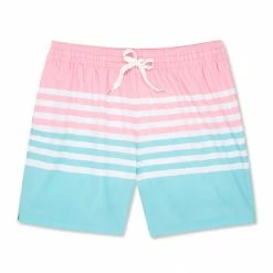 Chubbies Mens The On The Horizon 5.5" Swim Trunks