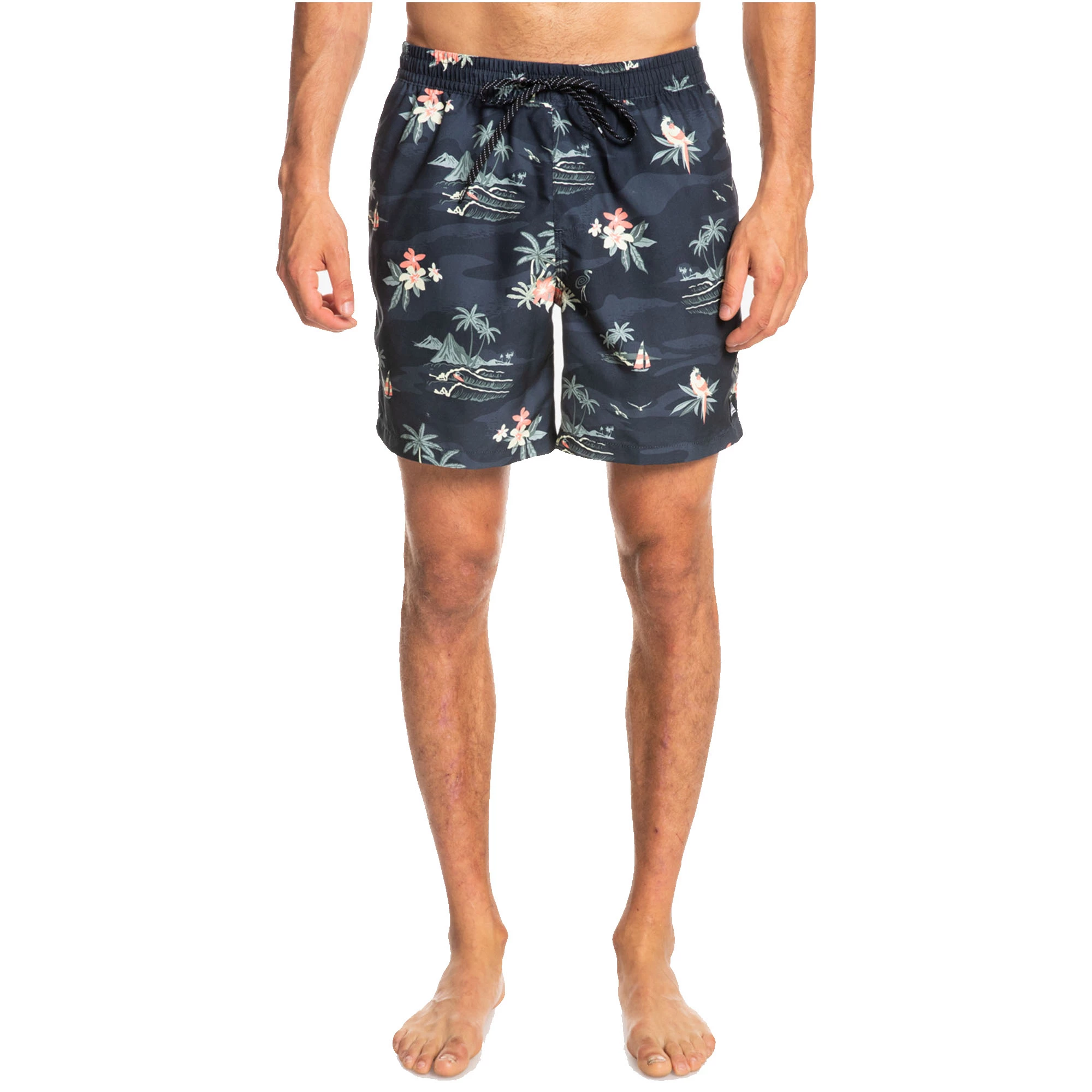 Quiksilver Mens Everyday Scenic 17" Volleys Boardshorts