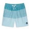 Chubbies Mens The Whale Shark 7" Swim Trunks