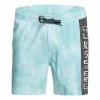 Quiksilver Mens Acid Wash 17" Volley Boardshorts
