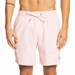Quiksilver Men's Everyday 17" Swim Trunks